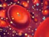 ‘Weak’ and ‘strong’ cells bonding boosts body’s diabetes fight