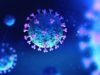 Research discovery shows viruses can ‘hijack’ cellular process in order to block immune response