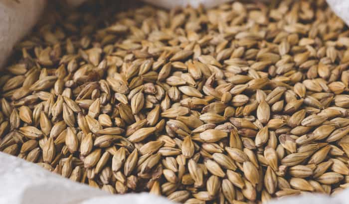 malting
