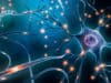 Myelin: one of the major factors of age-related brain deterioration