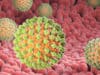 Rotavirus vaccines made available for use in humanitarian crises