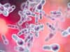 Why ‘poo’ transplants effectively treat C. difficile