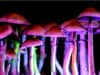 Psilocybin, the magic mushroom compound for treating depression