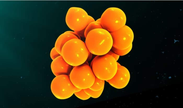 severe influenza