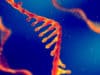 Update on cancer genetics, epigenetics and resulting therapeutics