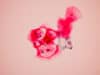 What is cervical cancer?