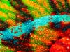 Researchers discover control mechanism for melanoma skin cancer