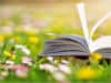 Holiday reading recommendations