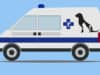What to do if your dog is hit by a car?
