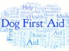 CPR for dogs – how to save your pet’s life