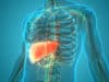 Hypertension and fatty liver don’t add up in death risk