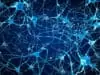 New understanding of how brain cells talk
