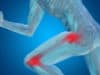 Articular cartilage can heal partially after injury