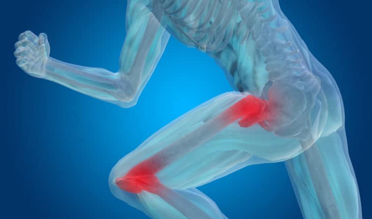 Articular cartilage