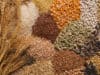 Whole grain food and the economics of type 2 diabetes