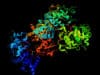 Researchers identify new pathways to target breast cancer