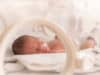 New mothers could help protect other babies’ brains
