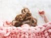 Sleeping longer than 6.5 hours associated with cognitive decline