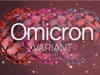 WHO’s Science in 5 on COVID-19: Omicron variant