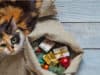 How to have a pet friendly Christmas