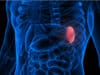 World first discovery of spleen function could lead to better treatments for infectious diseases