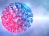 T cells a key defence against Omicron