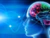 Synchronising brain waves key to how and why we pay attention