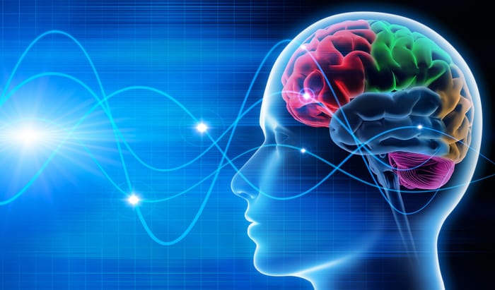 brain waves