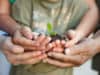 Growing Families -Surrogacy & Fertility Conference