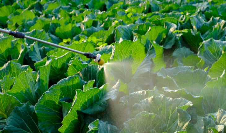 insecticides