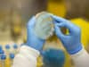 University of Queensland partners with Moderna