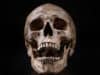 Jaws: Ancient ancestors evolved to be strong and snappy