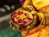 Global Centre for Traditional Medicine in India