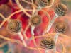 Environmental mould infecting people