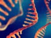 Novel nuclear microRNA for treatment of cardiovascular disease