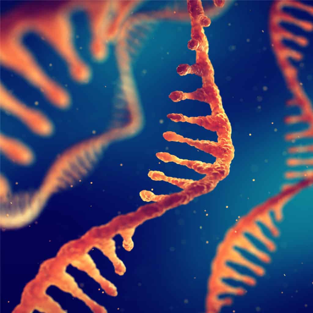 microRNA