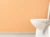Bladder cancer: effective drugs identified