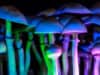 Psilocybin: Magic mushroom compound increases brain connectivity