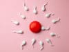 Fertility Network responds to HFEA’s Covid report