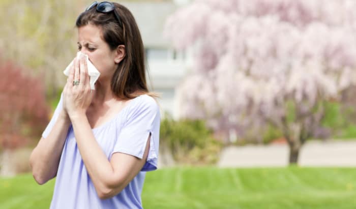 hay fever