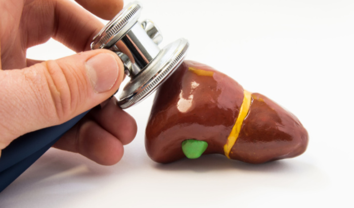 liver