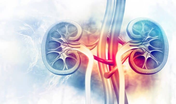 kidney injury