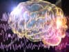 GOSH: new epilepsy research reveals brain wiring differences