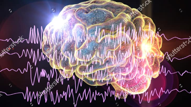 epilepsy research