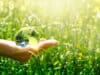COVID-19 has made us more sustainable