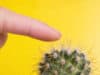 Finger-prick blood test identifies immunity to COVID-19
