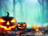 Halloween: Guide to staying safe