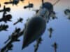 New bid to ‘outflank’ antimicrobial resistance