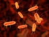 Harnessing the healing power within our cells