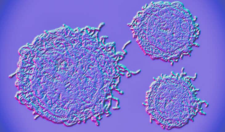 cells
